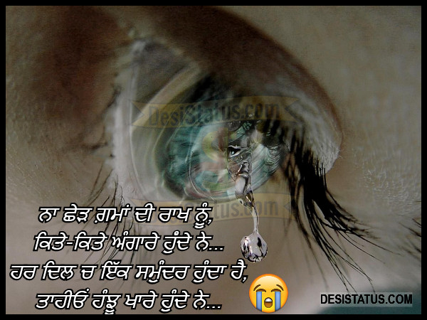 punjabi sad status Tears